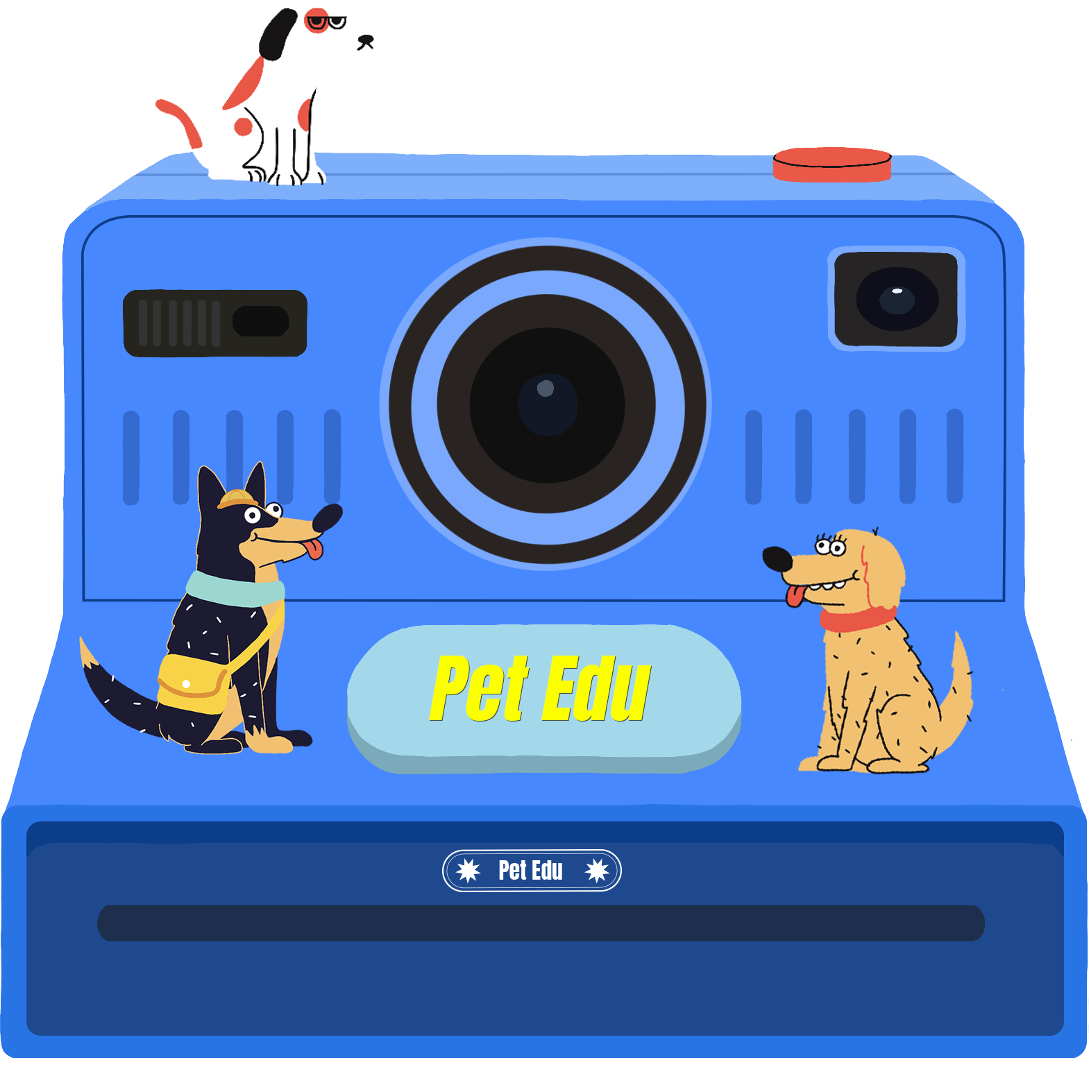 camera