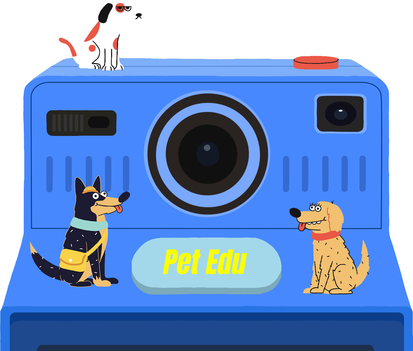 camera