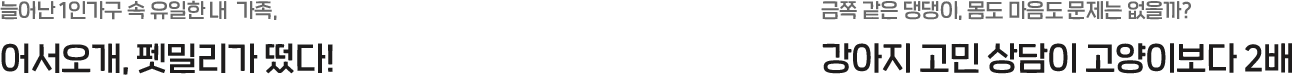 txt1
