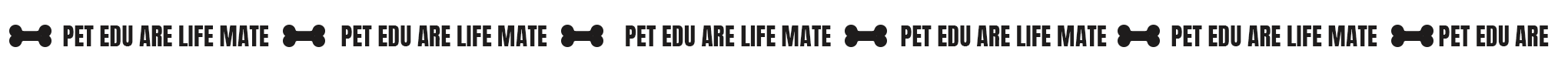 slogan