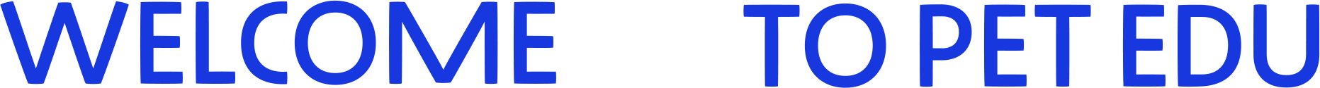 txt1