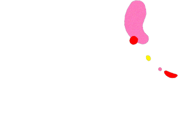 deco