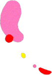 deco